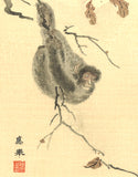 Maruyama Okyo -  Monkey in Snow - Free Shipping