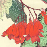 Tanigami Konan (1879~1928) -  Begonia - Free Shipping　　