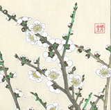 Kawarazaki Shodo - F23 Shira Ume (White Plum) - Free Shipping