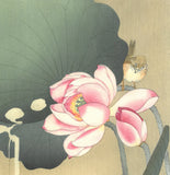 Ohara  Koson - Hasu ni suzume (Lotus and sparrow) - Free Shipping