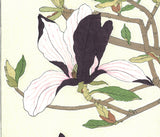 Kawarazaki Shodo - F077  Mokuren (Magnolia) - Free Shipping