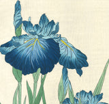 Osuga Yuichi - Shoubu (Japanese Iris) - Free Shipping