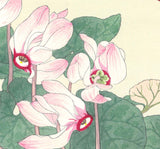 Tanigami Konan (1879~1928) -  Cyclamen - Free Shipping　　