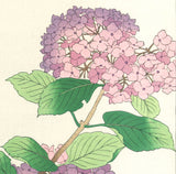 Osuga Yuichi - F178 Ajisai  (Hydrangea) - Free Shipping    Only 1 left!!