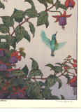 Yoshida Toshi - #017101 Hachi Dori (Humming Bird and Fuchsia) - Free Shipping