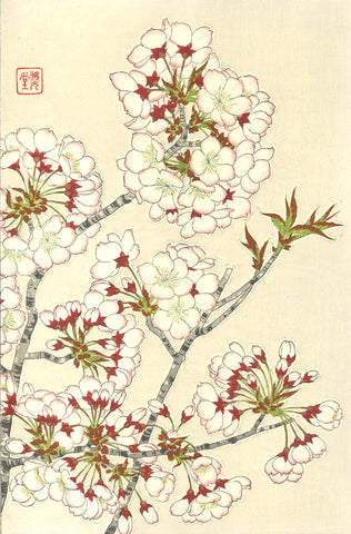 Kawarazaki Shodo - F019 Sakura (Cherry Blossoms)