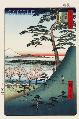 Fukuroi: Famous Tôtômi Kites (Fukuroi, meibutsu Enshû tako
